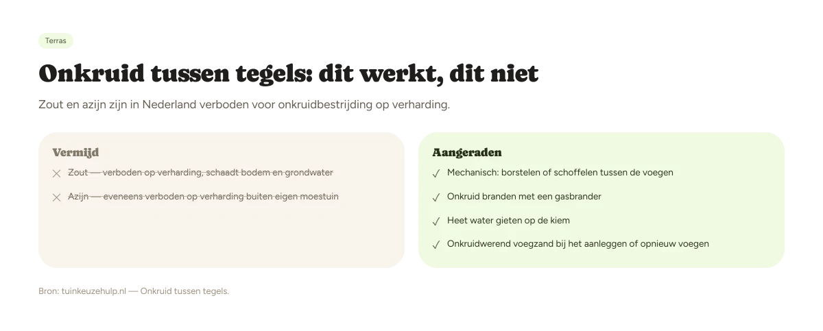Wat werkt en wat niet tegen onkruid tussen tegels: zout en azijn vermijden, mechanisch/branden/heet water/voegzand aangeraden