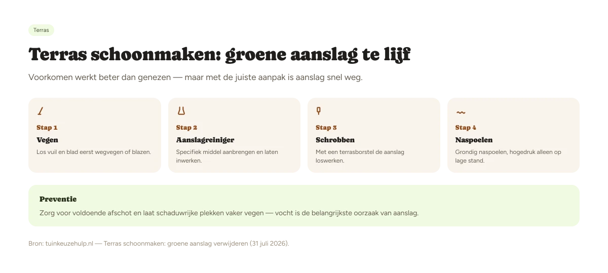 Oorzaakschema groene aanslag op tegels: waarom aanslag vooral op schaduwrijke en vochtige plekken ontstaat, met preventieve maatregelen