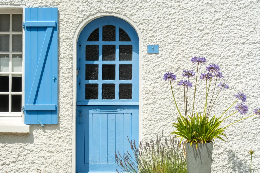 Bloeiende blauwe agapanthus in een grijze pot tegen een witte gevel, naast een blauwe voordeur