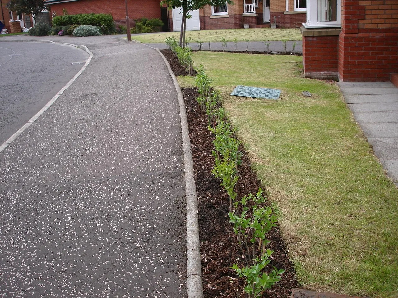 Haag planten: wanneer, hoe diep en hoeveel per meter
